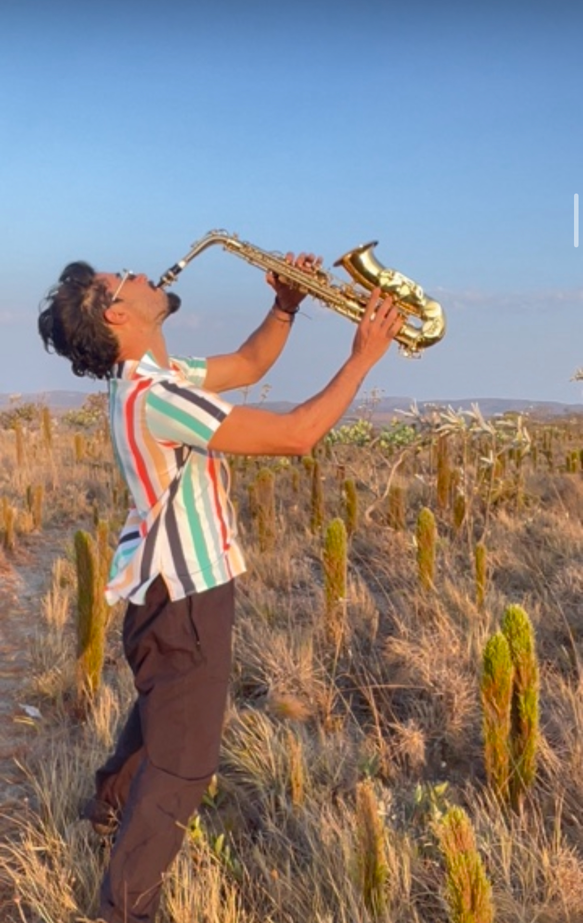 Sax Velkan  - Artista Musical