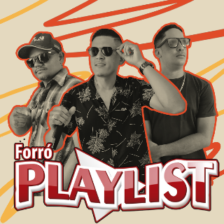Forró Playlist  - Artista Musical