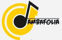 Grupo samba folia  - Artista Musical